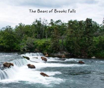 The Bears of Brooks Falls book cover