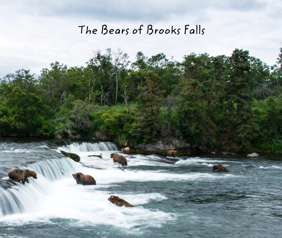 The Bears of Brooks Falls nach mARTyimages - Helen Martyn anzeigen