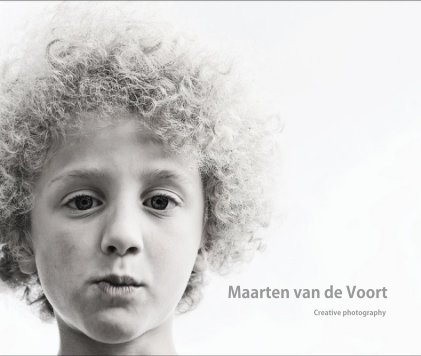 Maarten van de Voort book cover