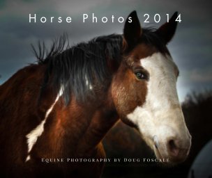 Horse Photos 2014 book cover