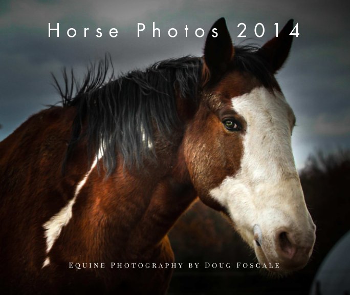 View Horse Photos 2014 by Doug Foscale
