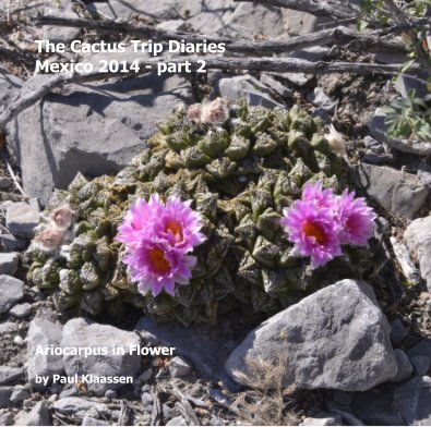 The Cactus Trip Diaries Mexico 2014 - part 2 book cover