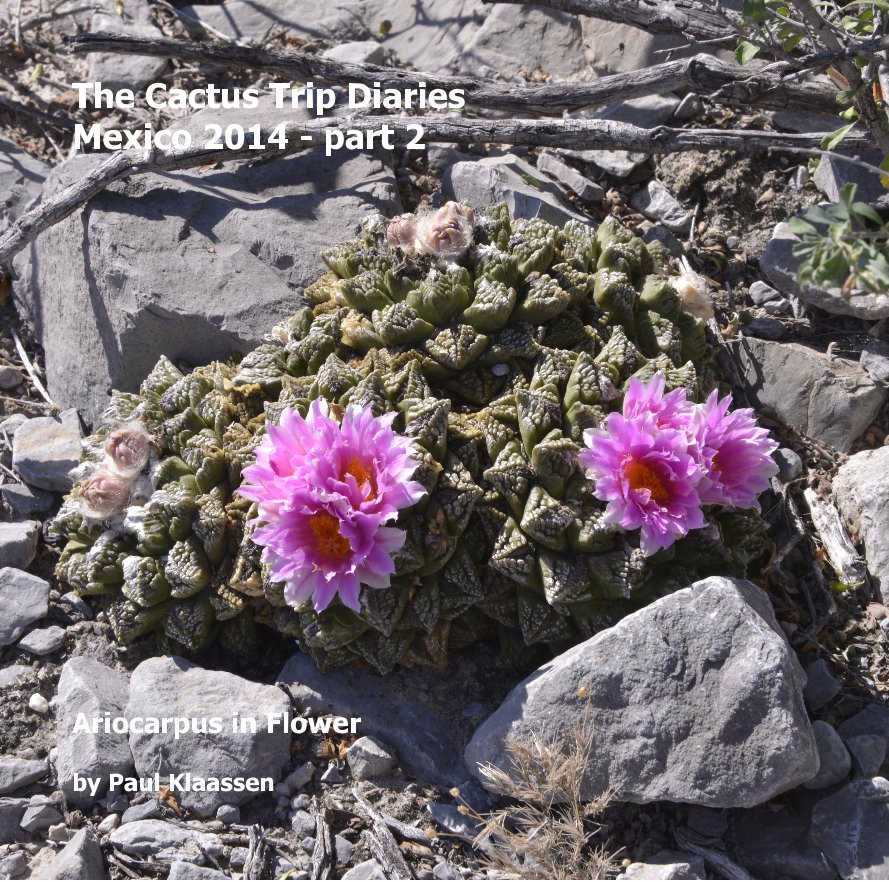 View The Cactus Trip Diaries Mexico 2014 - part 2 by Paul Klaassen