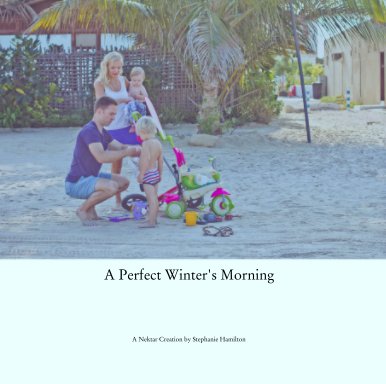A Perfect Winter's Morning book cover