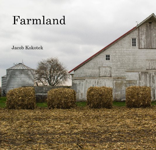 View Farmland by Jacob Kokotek