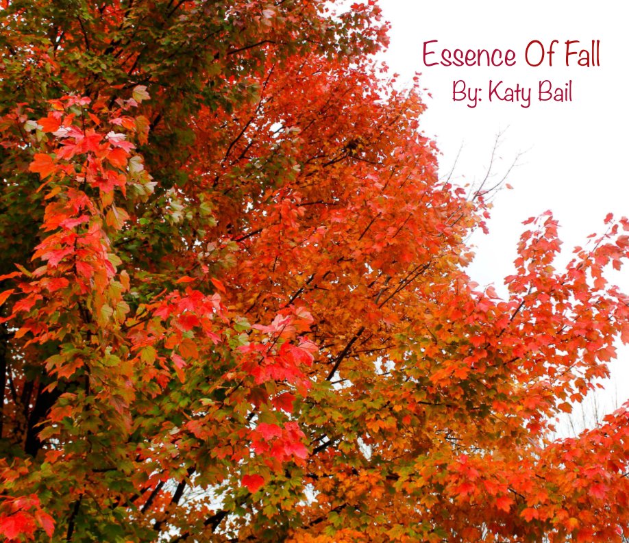View Essence of Fall 2 by Katy Bail
