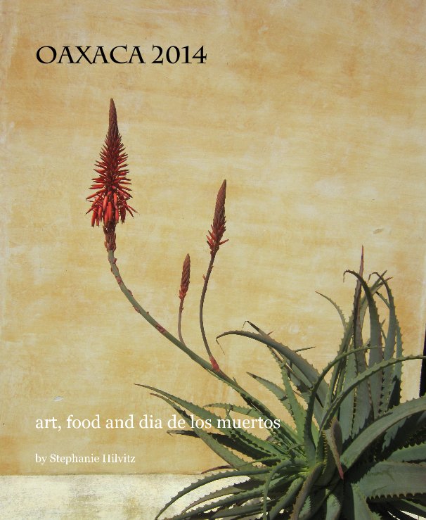 View Oaxaca 2014 by Stephanie Hilvitz