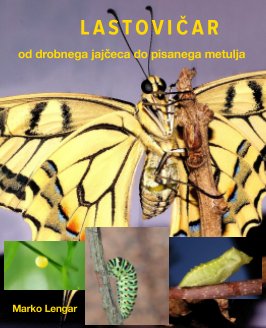 LASTOVIČAR (Papilio machaon) book cover
