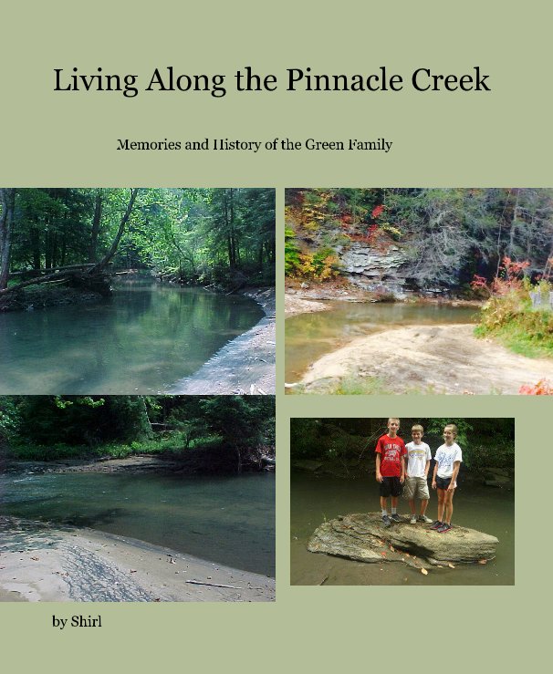 View Living Along the Pinnacle Creek by Shirl