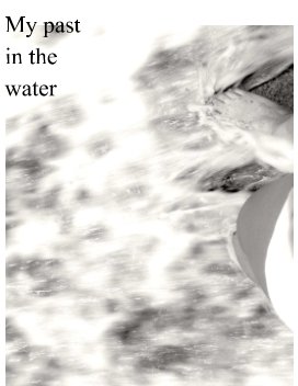 My past in the water book cover
