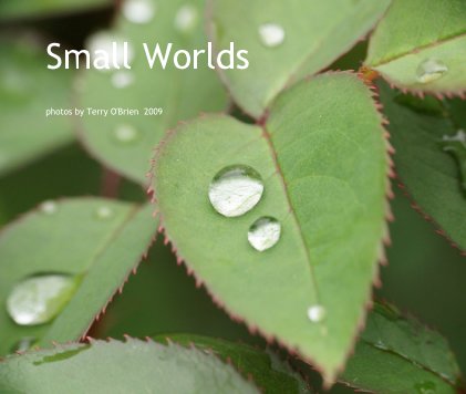 Small Worlds book cover