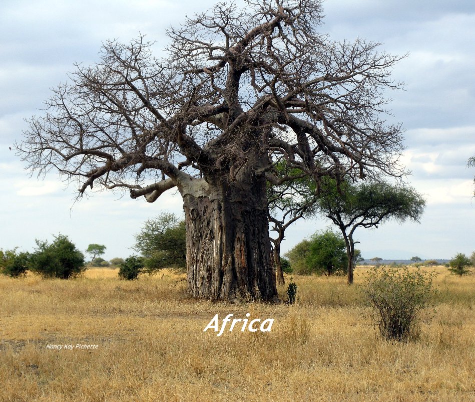 View Africa by Nancy Kay Pichette