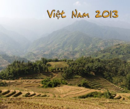 Vietnam 2013 Deel 4 book cover