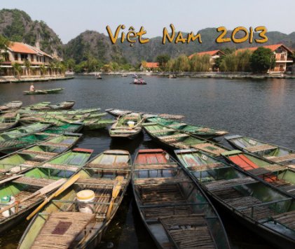 Vietnam 2013 Deel 2 book cover