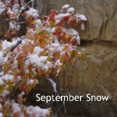 September Snow book cover
