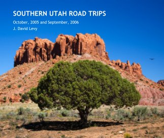 SOUTHERN UTAH ROAD TRIPS book cover