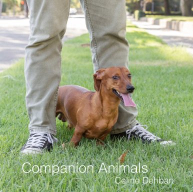 Companion Animals book cover