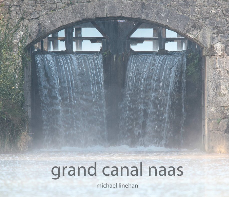 View Grand Canal Naas by Michael Linehan