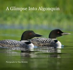 A Glimpse Into Algonquin book cover