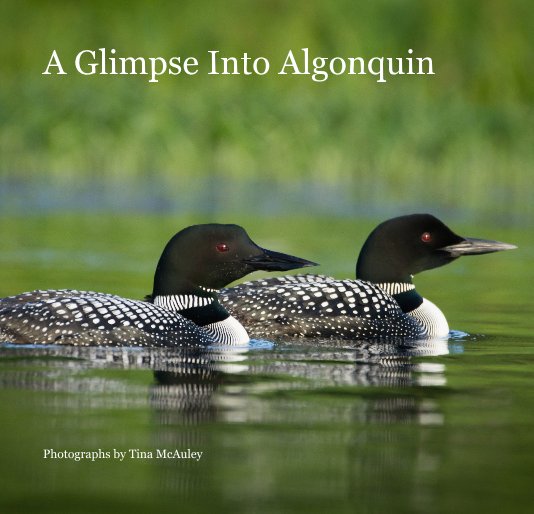 Bekijk A Glimpse Into Algonquin op Photographs by Tina McAuley