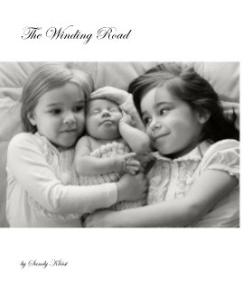 The Winding Road book cover