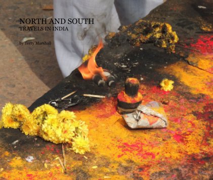 NORTH AND SOUTH  by Terry Marshall book cover