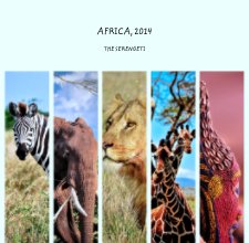 AFRICA, 2014 book cover