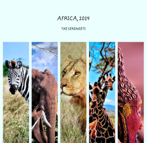View AFRICA, 2014 by Martha Fruehauf
