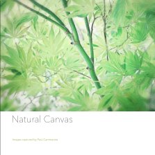 Natural Canvas (Hard Cover - Image-wrap Edition, 7"x7") book cover