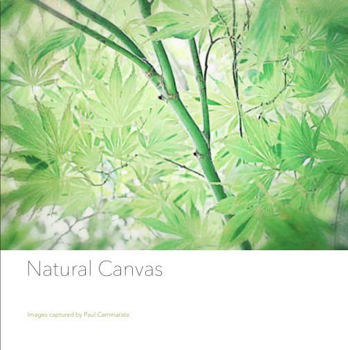 View Natural Canvas (Hard Cover - Image-wrap Edition, 7"x7") by Paul Cammarata | Gallery C Studios