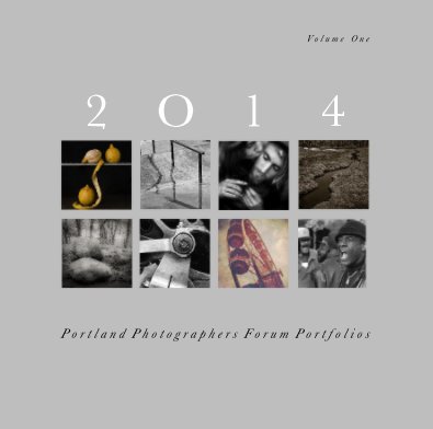 Vol 1 of 2014 Portland Photographer's Forum Portfolios, 12X12 book cover