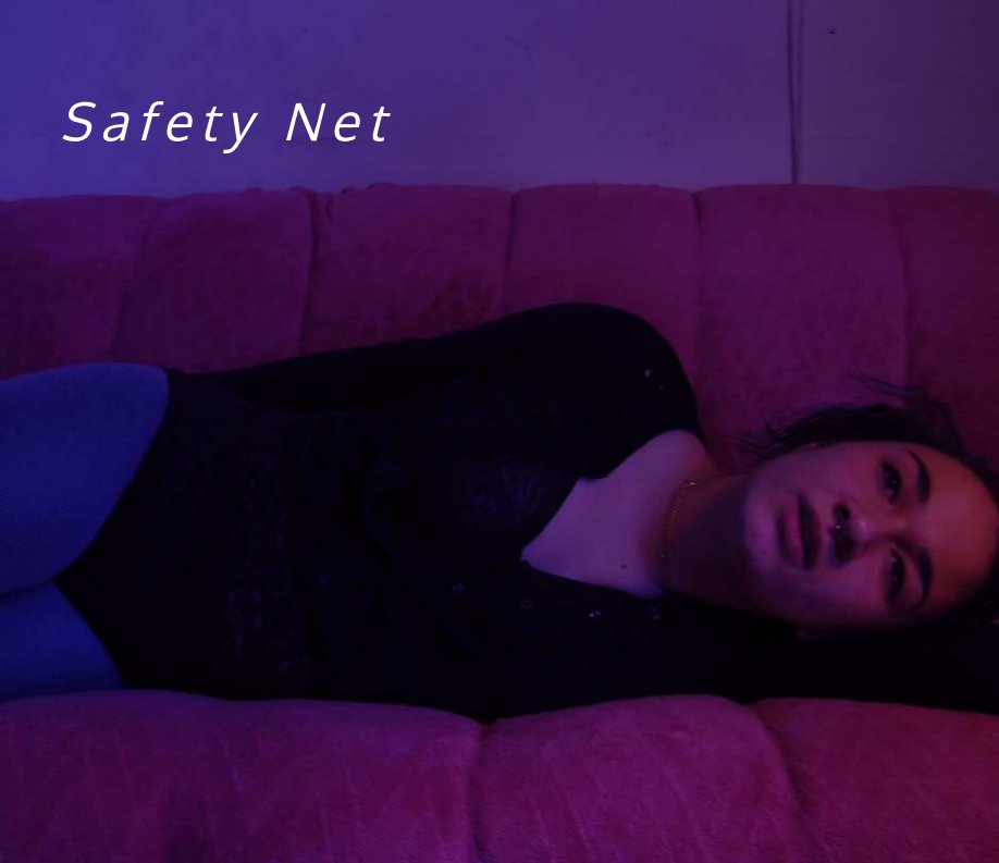 Visualizza Safety Net di Jae Shin Cross