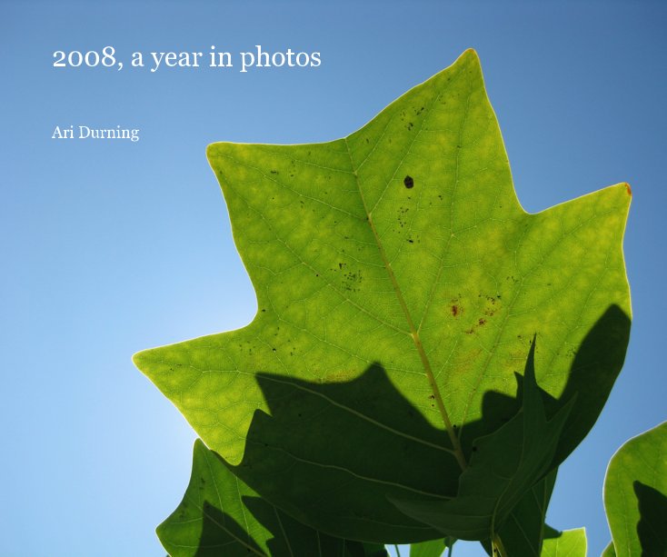 Ver 2008, a year in photos por Ari Durning