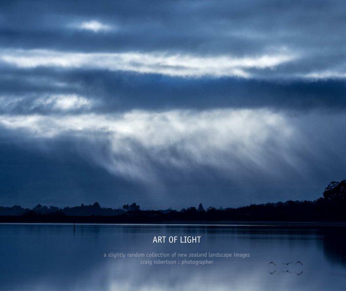 View Art of Light (hardcover) by Craig Robertson