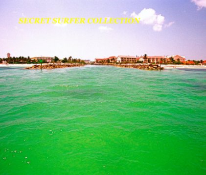 SECRET SURFER COLLECTION book cover