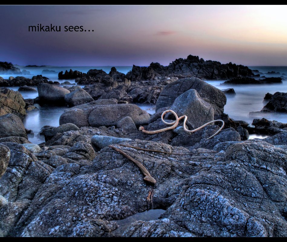 View mikaku sees... by Michael Doliveck