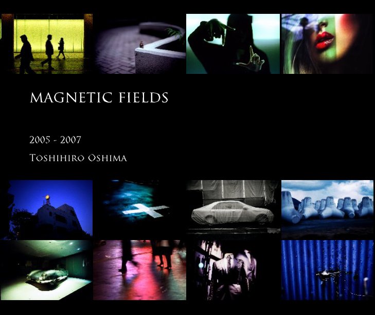View magnetic fields by Toshihiro Oshima