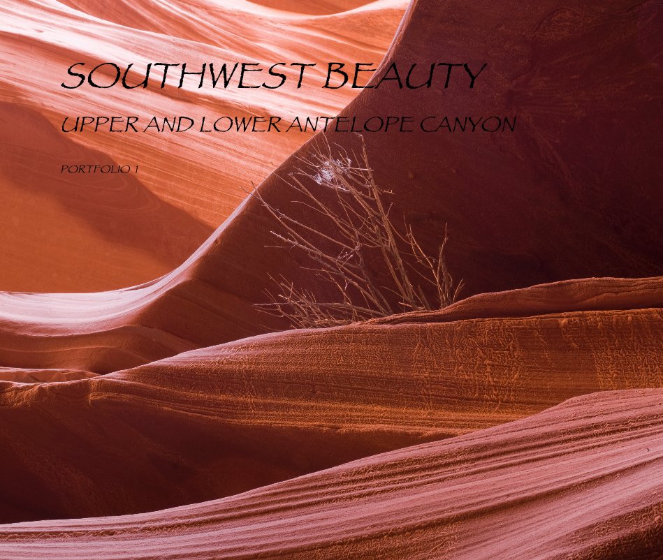 View SOUTHWEST BEAUTY UPPER AND LOWER ANTELOPE CANYON PORTFOLIO 1 by dave sacerdote
