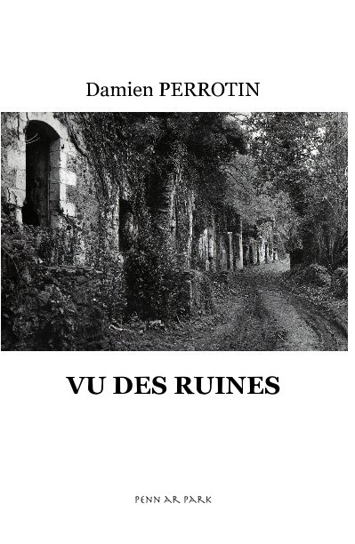 View VU DES RUINES by Damien PERROTIN