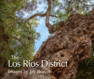 The Los Rios District book cover