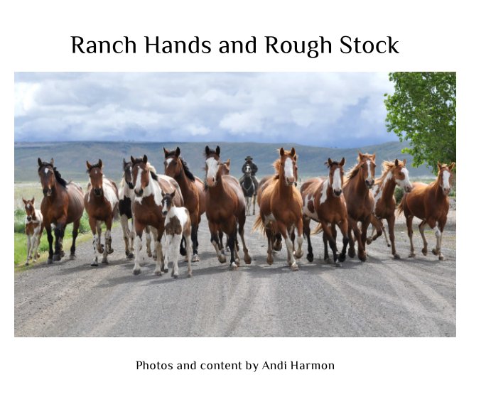 View Ranch Hands and Rough Stock by Andi Harmon