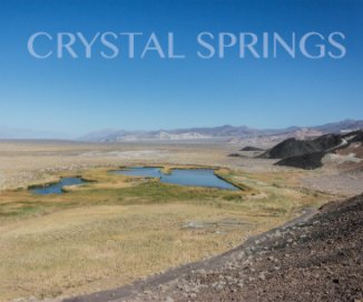 Crystal Springs book cover