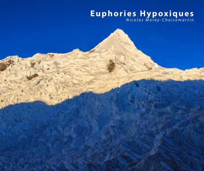 Ver Euphories Hypoxiques (Small) por Nicolas Morey-Chaisemartin