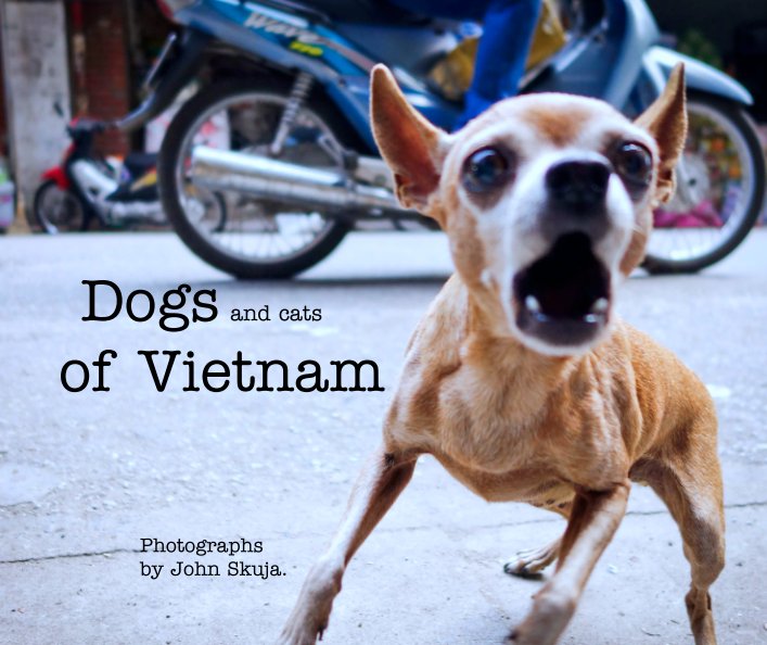 Bekijk Dogs and cats
of Vietnam op Photographs             John Skuja.