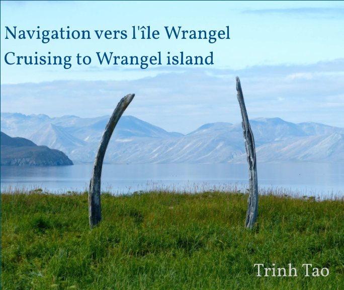View Navigation vers l'île Wrangel by Trinh TAO
