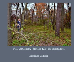 The Journey Holds My Destination book cover