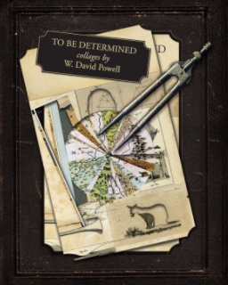 To Be Determined book cover
