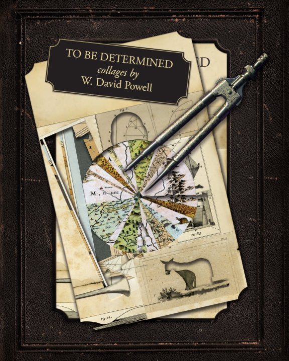 Bekijk To Be Determined op W. David Powell