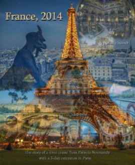 France, 2014 book cover