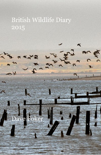View British Wildlife Diary 2015 by Dave Foker